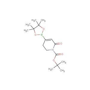 tert-butyl 2-oxo-4-(4,4,5,5-tetramethyl-1,3,2-dioxaborolan-2-yl)-5,6-dihydropyridine-1(2H)-carboxylate