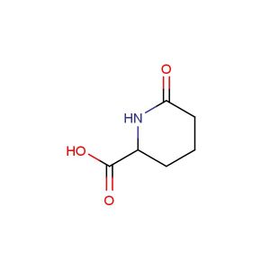 6-oxopiperidine-2-carboxylic acid